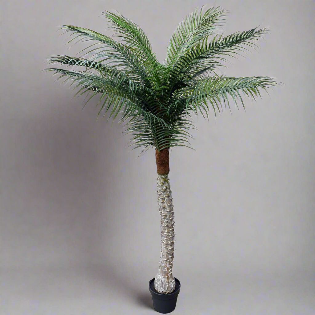 Artificial Tropical Phoenix Palm Tree 170cm