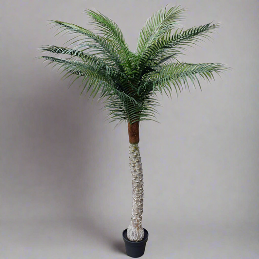 Artificial Tropical Phoenix Palm Tree 170cm