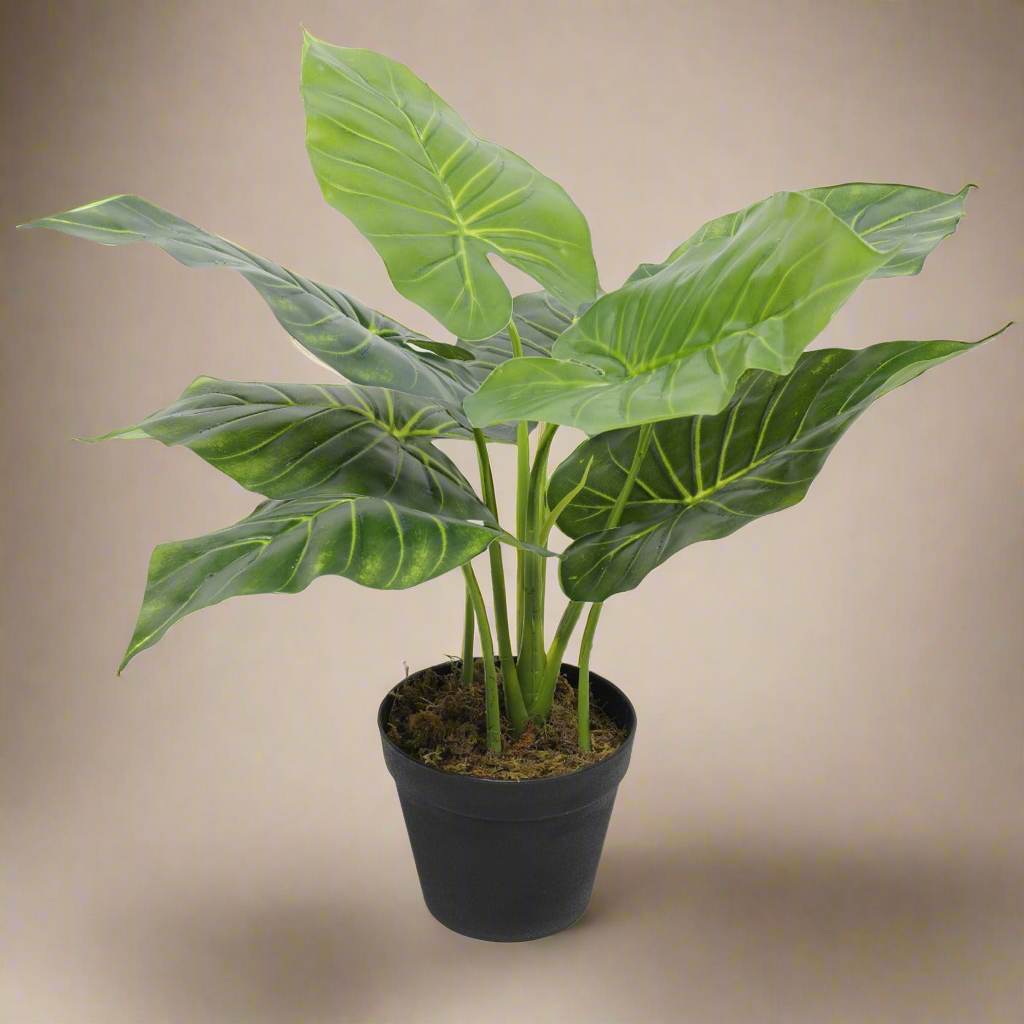 Artificial Potted Taro Plant - Elephant Ear 55cm