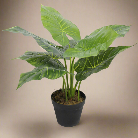 Artificial Potted Taro Plant - Elephant Ear 55cm