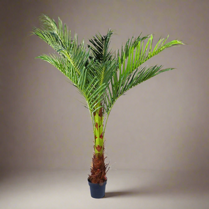 180cm Phoenix Palm - Artificial Plant