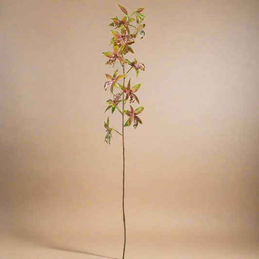 18x16x109cm Rogue Oncidium Orchid Spray Green/Burgundy