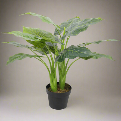 Artificial Potted Taro Plant - Elephant Ear 70cm