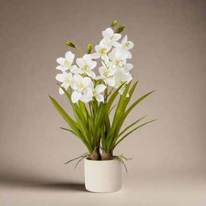 50x50x69cm Elme Living Cymbidium Slim Pot in White