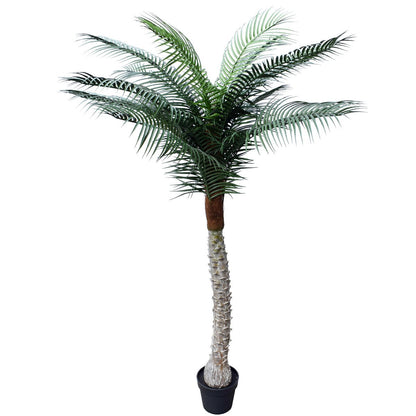 Artificial Tropical Phoenix Palm Tree 170cm