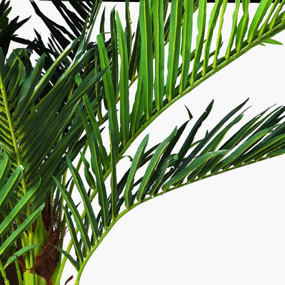 180cm Phoenix Palm - Artificial Plant