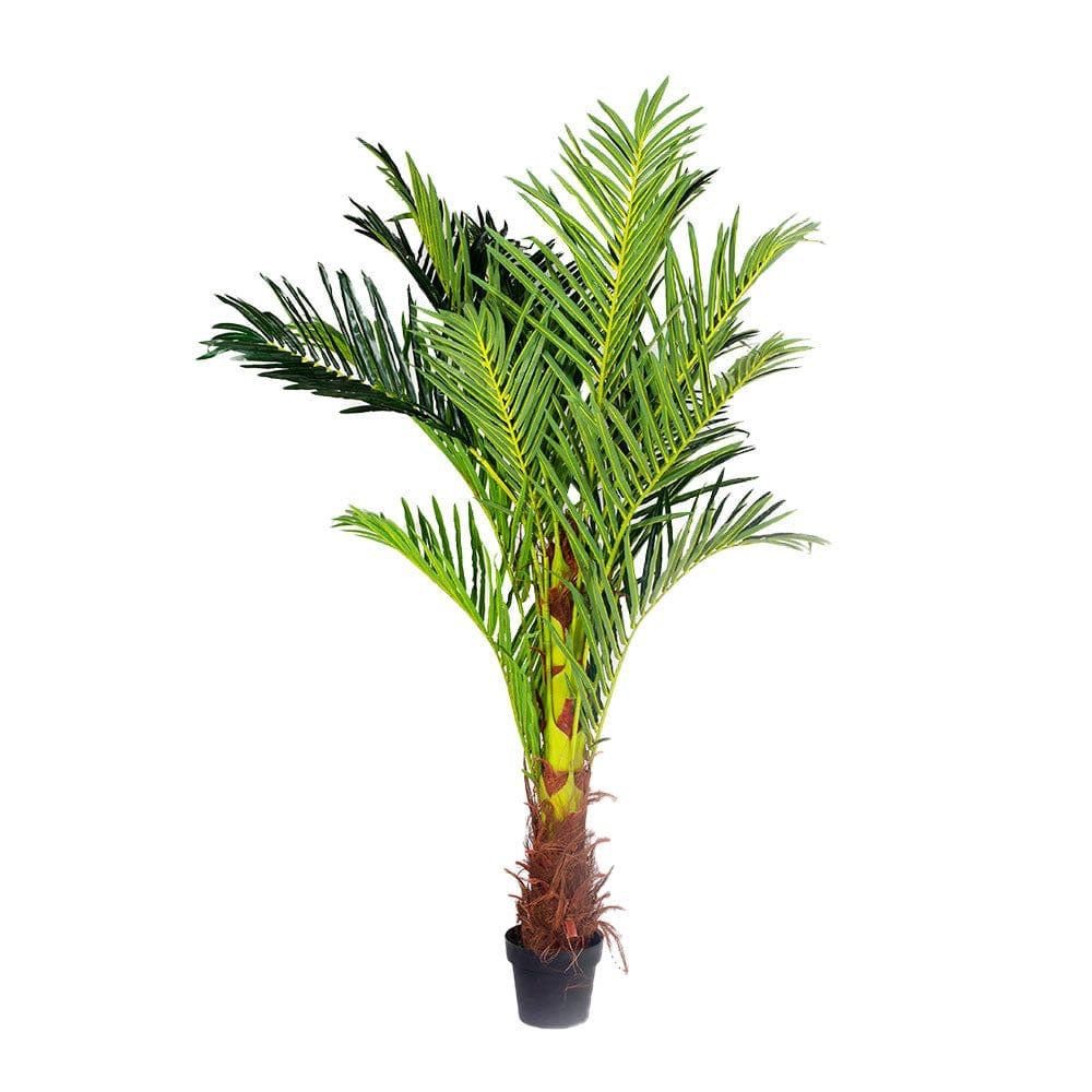 180cm Phoenix Palm - Artificial Plant