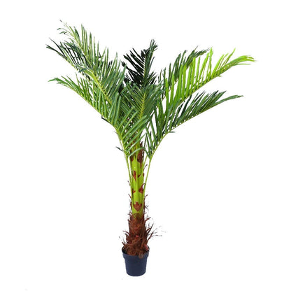 180cm Phoenix Palm - Artificial Plant