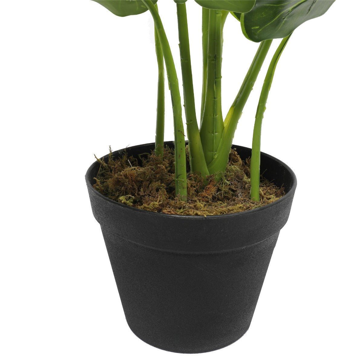 Artificial Potted Taro Plant - Elephant Ear 55cm