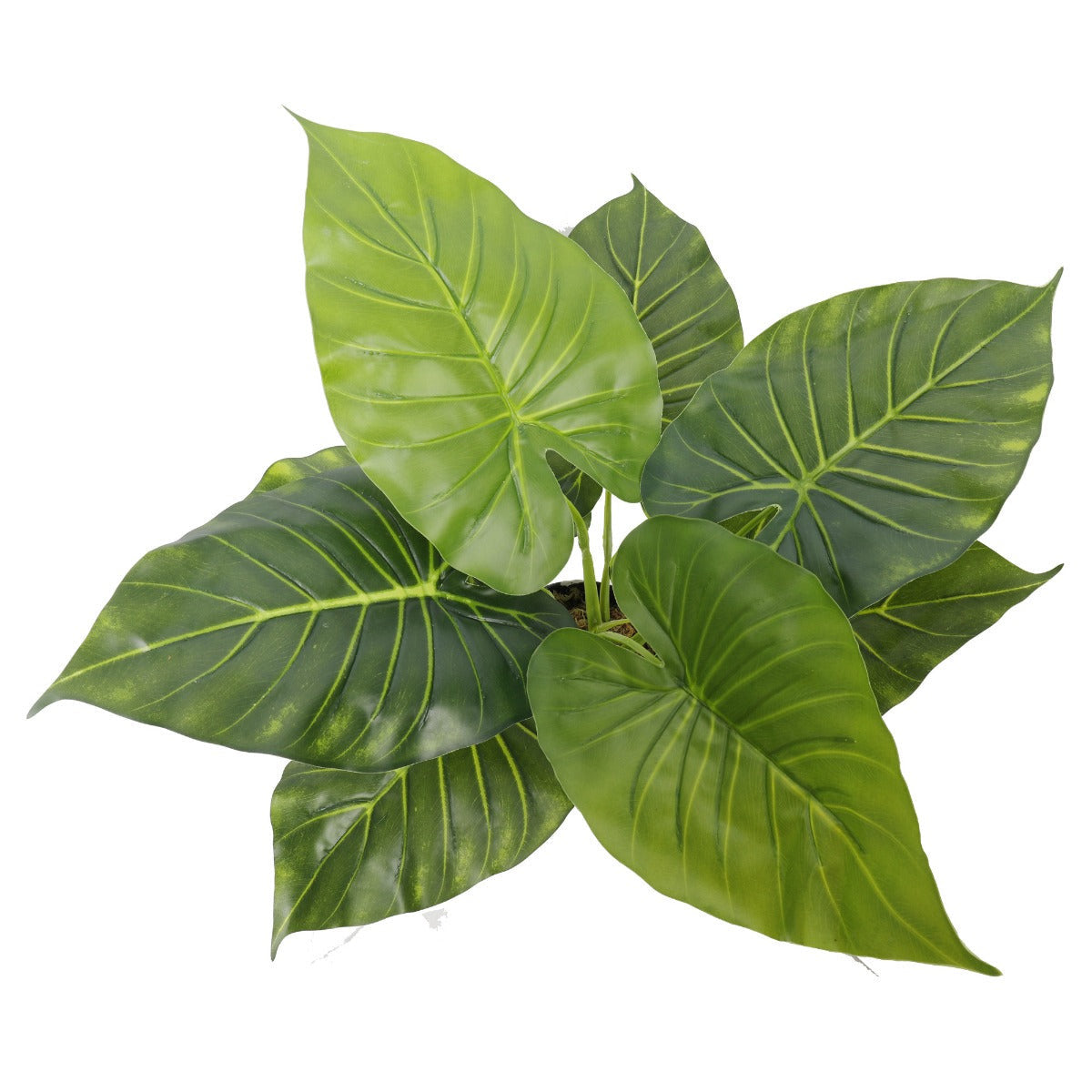 Artificial Potted Taro Plant - Elephant Ear 55cm