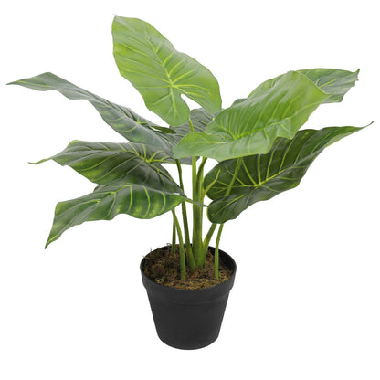 Artificial Potted Taro Plant - Elephant Ear 55cm