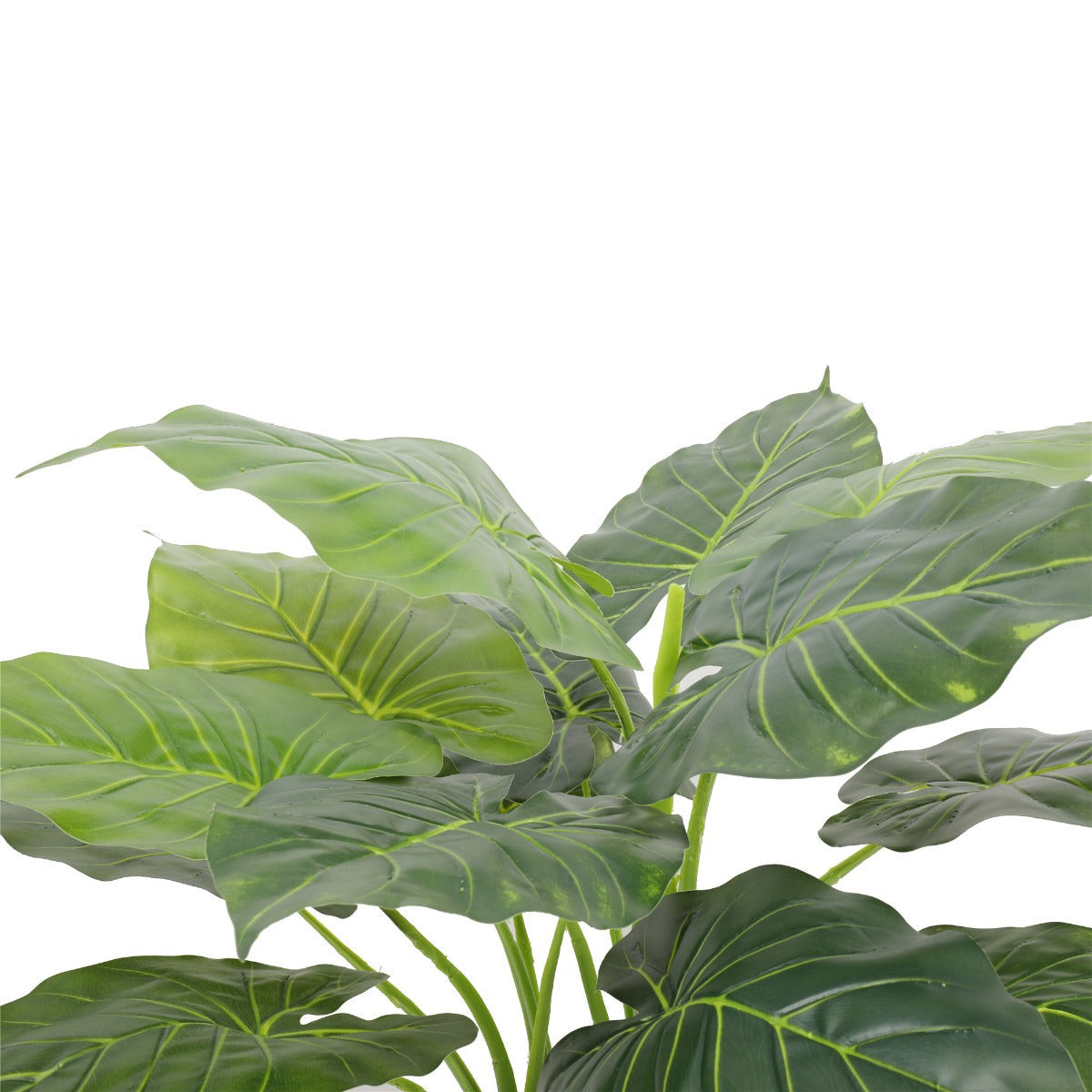 Artificial Potted Taro Plant - Elephant Ear 70cm