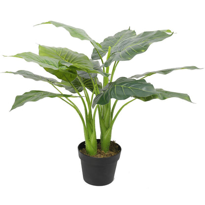 Artificial Potted Taro Plant - Elephant Ear 70cm