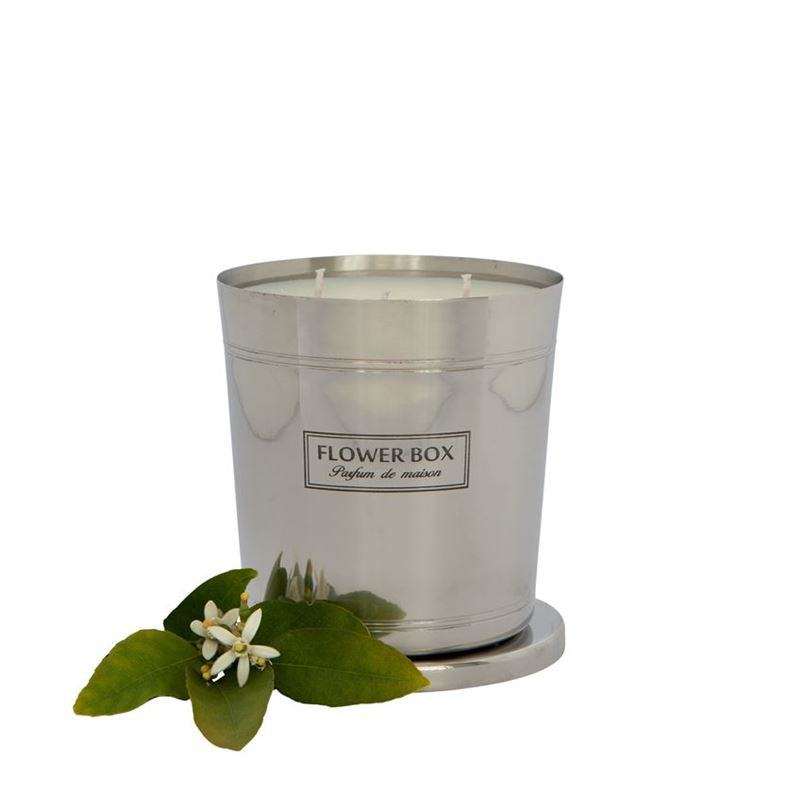 Flower Box - Fig Leaf and Cedar Hallmark Candle 1000g