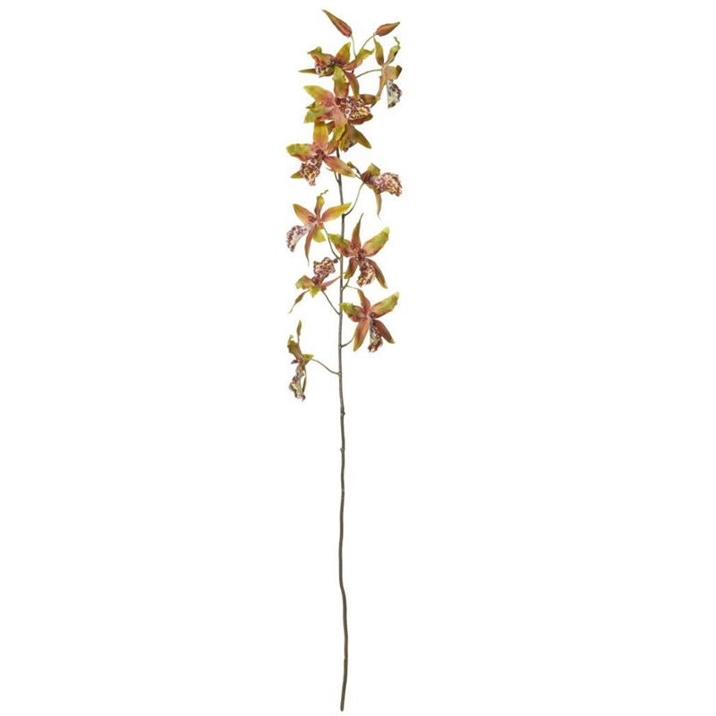 18x16x109cm Rogue Oncidium Orchid Spray Green/Burgundy