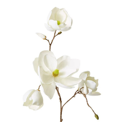 50x22x108cm Elme Living Magnolia Winter Spray White