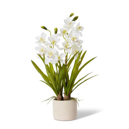 50x50x69cm Elme Living Cymbidium Slim Pot in White