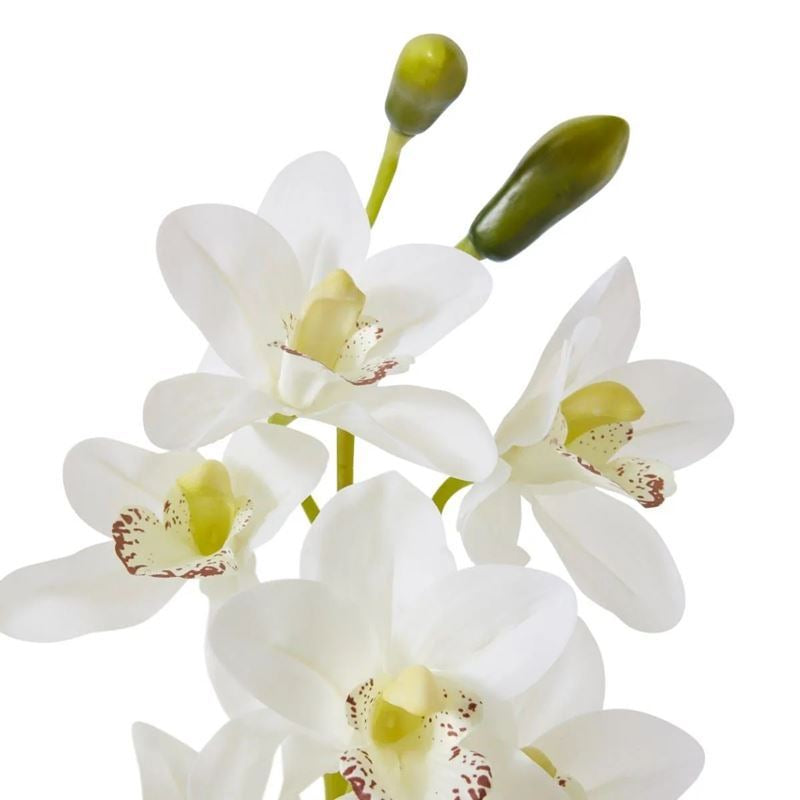 50x50x69cm Elme Living Cymbidium Slim Pot in White