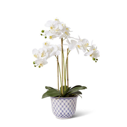 45x36x66cm Elme Living Phalaenopsis Abigail Bowl in White