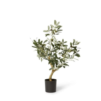 40x35x60cm Elme Living Olive Tree