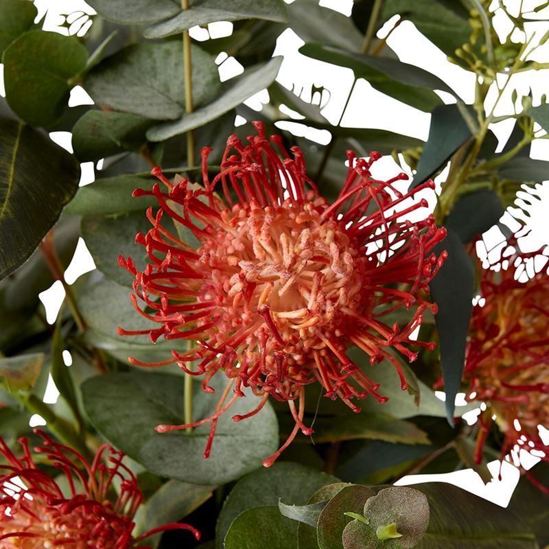 36x36x57cm Elme Living Pin Protea Mix Orange in Glass Vase