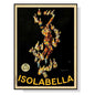 60cmx90cm Isolabella - Black Framed Print