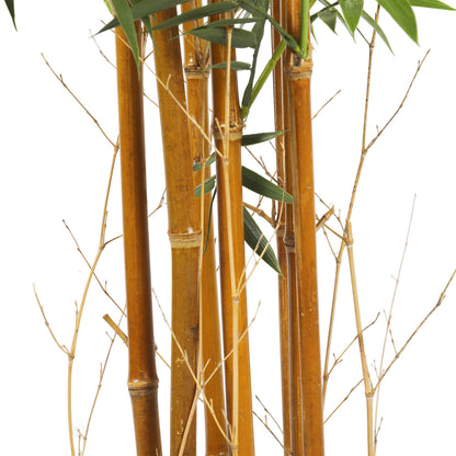 180cm Artificial Natural Cane Bamboo