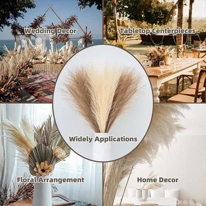 Pampas Grass 20 Piece Bouquet - Natural White 21.65inch