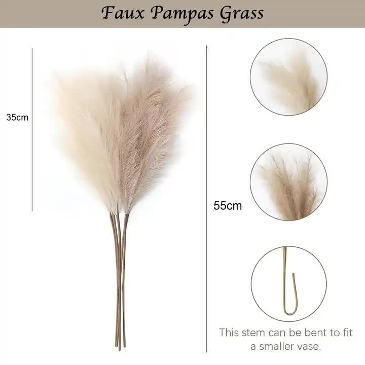 Pampas Grass 20 Piece Bouquet - Coffee 55 cm